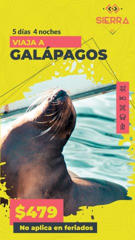 Paquete Galapagos