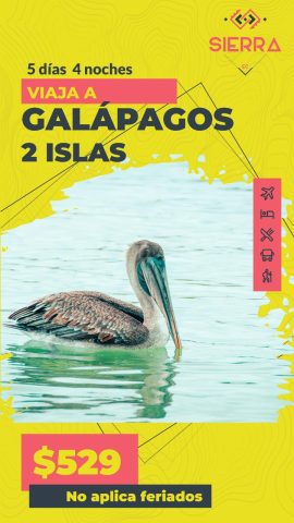 Paquete Galapagos_2