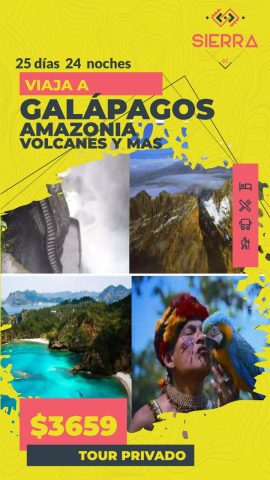 Paquete Volcanes
