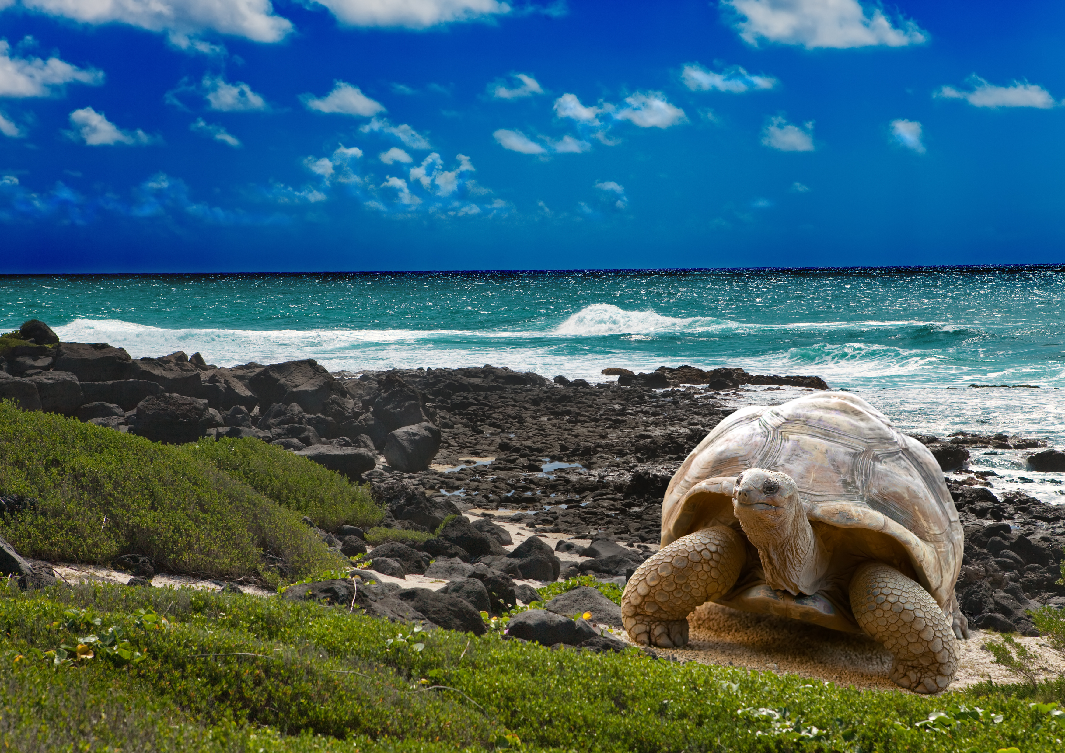 Sierra Galapagos Santa Cruz